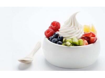 Παγωμένο γιαούρτι ή παγωτό;