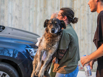 «Ένα σπίτι για κάθε ουρά»: Ημέρα υιοθεσί...