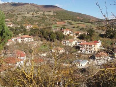 Κοπή πίτας την Πρωτοχρονιά στο Μάνεσι