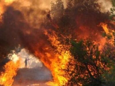 Αχαία: Σε ύφεση η φωτιά σε Ρουπακιά και ...