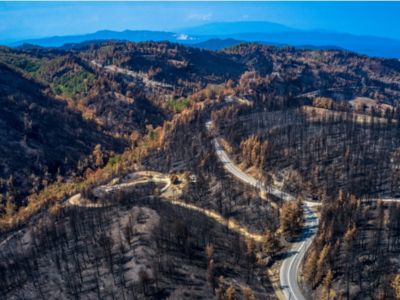 Έκθεση για τα οικονομικά των δασικών πυρ...