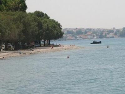 Πάτρα: Συνάντηση Συλλόγου Προστασίας Περ...