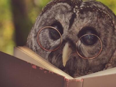 Περίεργες συνήθειες που έχουν οι διάνοιες