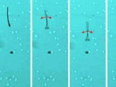 "Μαγνητοσπέρμα": Ρομπότ-σπερμα...