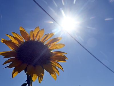 Πάτρα: Ξεπέρασε τους 34 βαθμούς η θερμοκ...