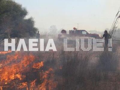 Οινόη Ηλείας: Πυρκαγιά ξεκίνησε από χωρά...