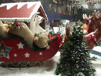 Πάτρα: Παιχνίδια με τα «Λυκόπουλα» στο Χ...