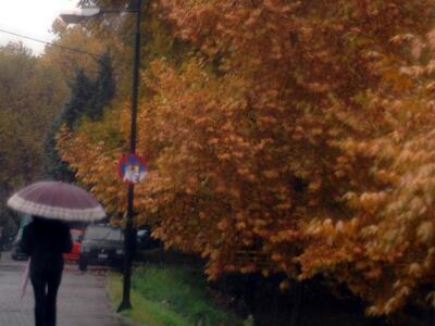 Δυτ. Ελλάδα: Υπό βροχή το σούβλισμα του οβελία