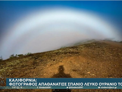 Καλιφόρνια: Φωτογράφος απαθανάτισε σπάνι...