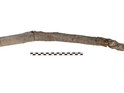  Στη φωτογραφία ID 39 απεικονίζεται σκαπ...