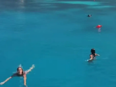 Ιθάκη: Αγριογούρουνο κυνήγησε τουρίστριε...