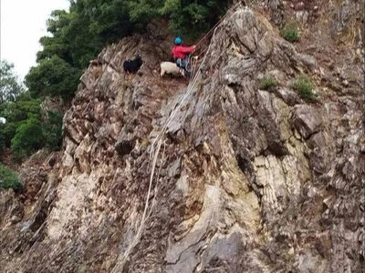 Ευρυτανία: 5 κατσίκες διασώθηκαν με τη σ...