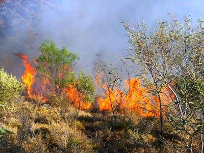 Φωτιά στο Ματαράγκα Αιτωλοακαρνανίας