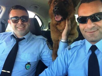 Αστυνομικοί βρήκαν χαμένο σκύλο την ώρα ...