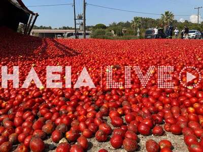 Ηλεία: «Σάλτσα» η οδός Κατακόλου στα Γρα...