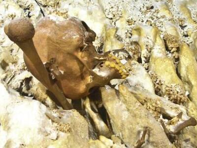 Μεξικό: Σκελετός έφηβης 12.000 ετών