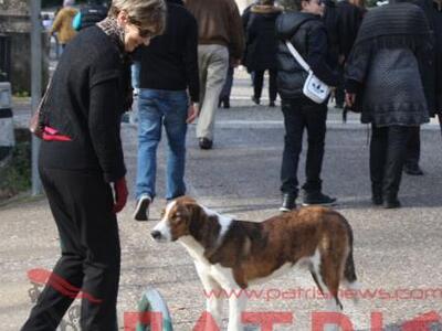 Ο (σκύλος) Ερμής και ο Δίας ... της Αρχα...