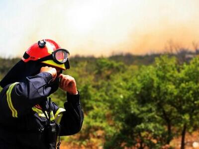 Μεγάλη πυρκαγιά καίει δάσος στη Μεγαλόπολη 