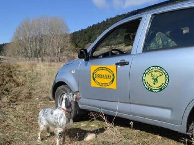 Καλάβρυτα: Κυνηγούσαν παράνομα αγριογούρ...