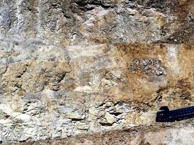 Αχαΐα: Ο Σύλλογος Προστασίας Υγείας και ...