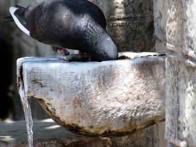 Πάτρα: Χωρίς νερό στο Καστρίτσι – Διαμαρ...