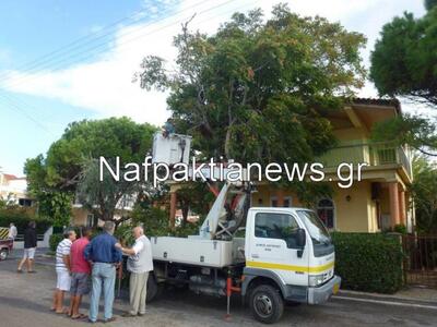 Αντίρριο: Δέντρο έπεσε σε μπαλκόνι από τ...