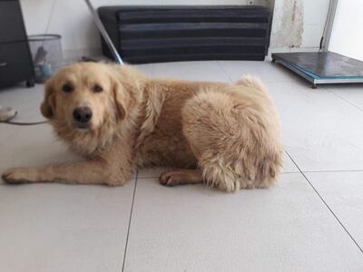 Πάτρα: Χάθηκε ο Ερμής στην Αρόη 