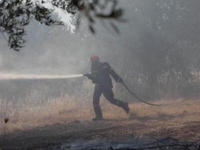 Σε ύφεση η πυρκαγιά στο Λασίθι