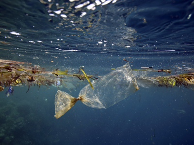 Αίγιο: Δράση καθαρισμού του βυθού στο λιμάνι
