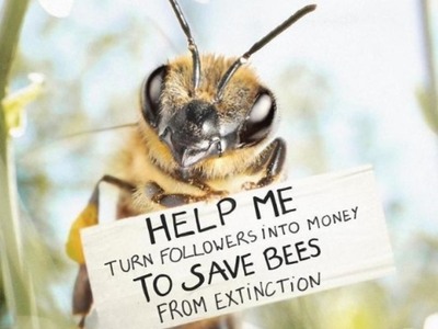 «B», ο πρώτος influencer για μέλισσες στον κόσμο