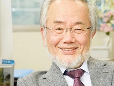 Στον Ιάπωνα βιολόγο Γιοσινόρι Οσούμι το ...