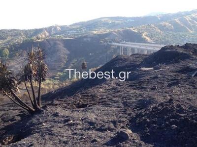 Πάτρα - Συχαινά: Παραμένουν πυροσβεστικέ...