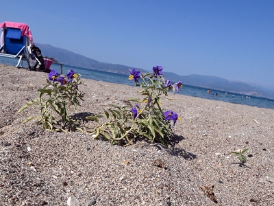 Meteo: 8 στις 10 μέρες του 2024 στην Ελλ...