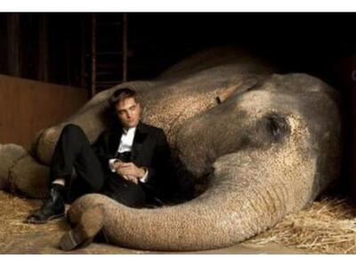 Τι παίζουν τα σινεμά της Πάτρας 