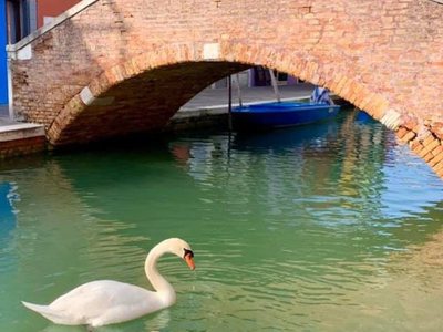 Βενετία: Έφυγαν οι τουρίστες και καθάρισ...