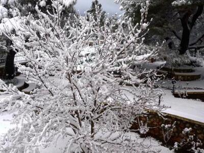 Χιονίζει από το απόγευμα στα Καλάβρυτα!