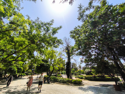 Καιρός: Ζέστη, αφρικανική σκόνη και υψηλ...