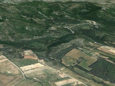 Μεγάλο το...μπέρδεμα με τους δασικούς χά...