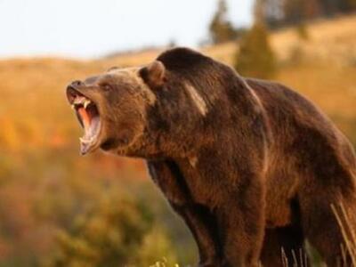 Ο "σεξομανής" Πύρρος που δεν α...