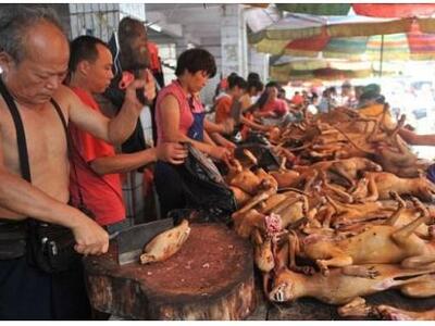 ΦΡΙΚΗ: Στην Κίνα γιόρτασαν το θερινό ηλι...