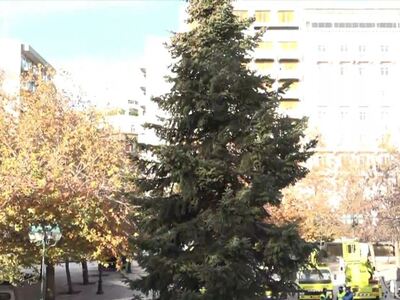 Στήθηκε το Χριστουγεννιάτικο δέντρο στην...