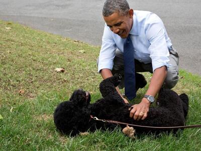 Η σκυλίτσα των Ομπάμα δάγκωσε μια 18χρον...