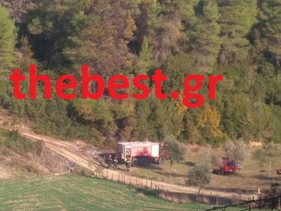Έσβησε η φωτιά στην Τριταία - Κάηκε δασι...