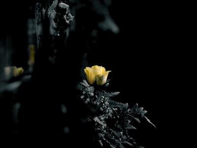 Σήμερα η κηδεία του Διευθυντή του 1ου Ε....