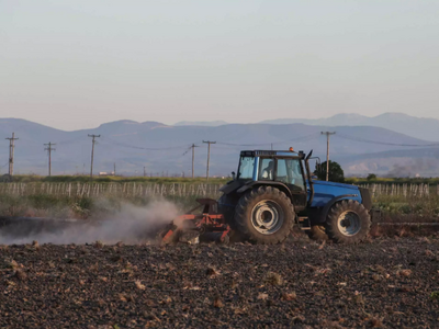 Αχαΐα: Σε απόγνωση οι αγρότες- Το σκάνδα...