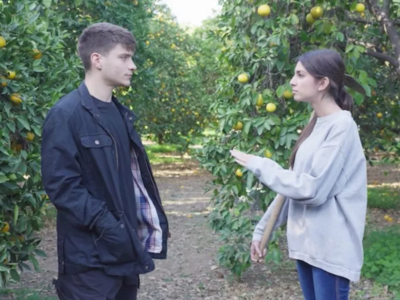 Η Γη της Ελιάς: Οι συνεχείς διαφωνίες οδ...