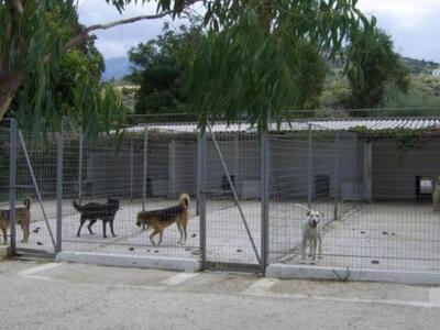 Πάτρα: Kλείνει ο Σταθμός Μέριμνας Ζώων τ...