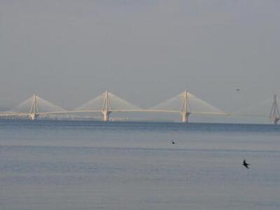 Πάτρα: Τα χελιδόνια πάνω απο τη Γέφυρα -...