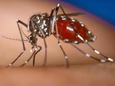 ΚΕ.ΕΛ.Π.ΝΟ.: Πώς να προστατευτείτε από τ...