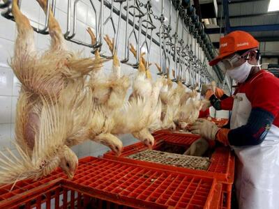 Δεσμεύτηκαν 429 κιλά ακατάλληλων κοτόπουλων